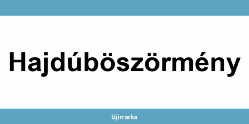 Allianz Biztosító Hajdúböszörmény ügyfélszolgálat