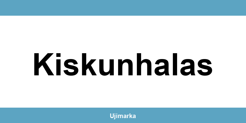 Allianz Biztosító Kiskunhalas ügyfélszolgálat